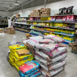 Al Hidd Fish Market - Al Hidd