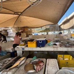 Al Hidd Fish Market - Al Hidd