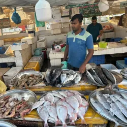 Al Hidd Fish Market - Al Hidd