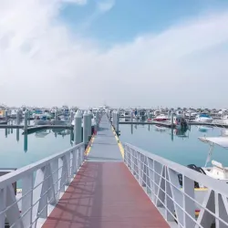 Amwaj Marina Yacht Club - Amwaj