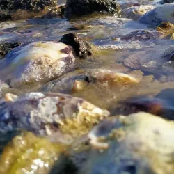 Barbar Beach - Barbar