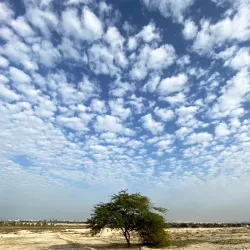 Saar Archaeological Site - Barbar