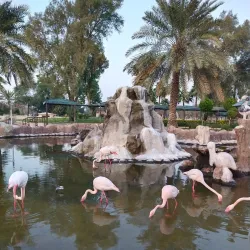 Al Areen Wildlife Park & Reserve - Budaiya