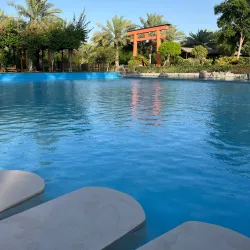 Al Areen Wildlife Park & Reserve - Budaiya