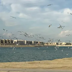 Budaiya Beach - Budaiya