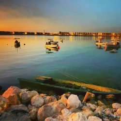 Budaiya Fish Market - Budaiya