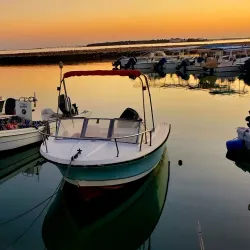 Budaiya Fish Market - Budaiya