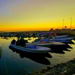 Budaiya Fish Market - Budaiya