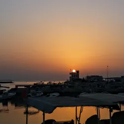 Budaiya Fish Market - Budaiya