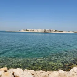 Budaiya Fish Market - Budaiya