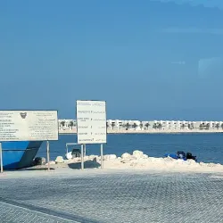 Budaiya Fish Market - Budaiya