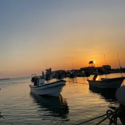 Budaiya Fish Market - Budaiya