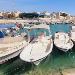 Budaiya Fish Market - Budaiya