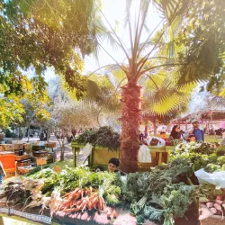 Budaiya Souq - Budaiya