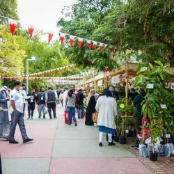 Budaiya Souq - Budaiya