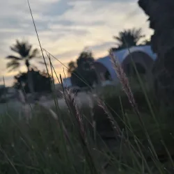 Al-Jazayer Park - Isa Town