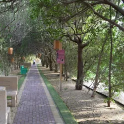 Al Areen Wildlife Park & Reserve - Jidd Hafs