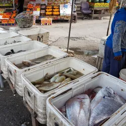 Jidd Hafs Souq - Jidd Hafs