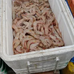 Jidd Hafs Souq - Jidd Hafs