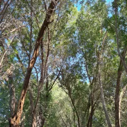 Coastal Walking Trails - Karzakan