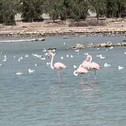 Coastal Walking Trails - Karzakan