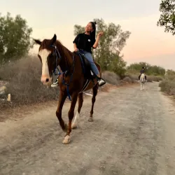 Coastal Walking Trails - Karzakan