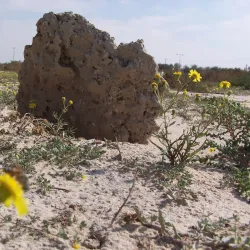 Karzakan Burial Mounds - Karzakan