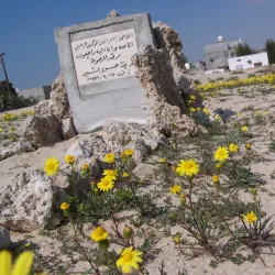 Karzakan Burial Mounds - Karzakan