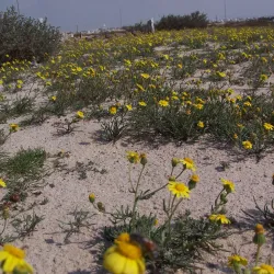 Karzakan Burial Mounds - Karzakan