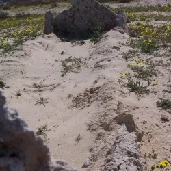 Karzakan Burial Mounds - Karzakan