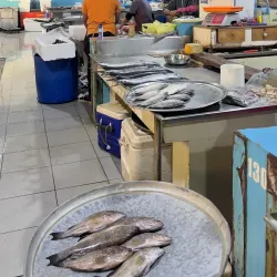 Local Fish Market - Karzakan
