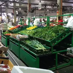 Local Fish Market - Karzakan