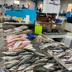 Local Fish Market - Karzakan