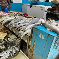 Local Fish Market - Karzakan