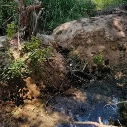 Mangrove Areas near Karzakan - Karzakan