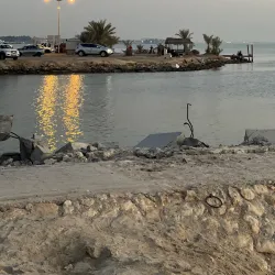 Mangrove Areas near Karzakan - Karzakan