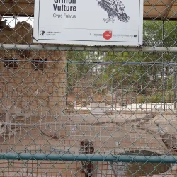 Al Areen Wildlife Park & Reserve - Madinat Hamad