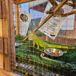 Hamad Town Park - Madinat Hamad