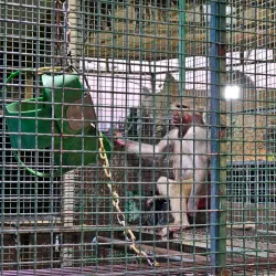 Hamad Town Park - Madinat Hamad