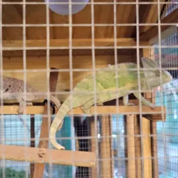 Hamad Town Park - Madinat Hamad