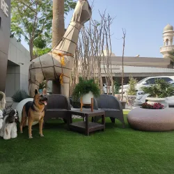 Adliya District - Saar