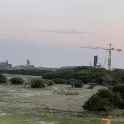 Mangrove Areas near Sitrah - Sitrah
