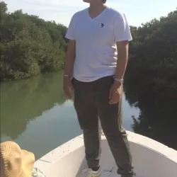 Mangrove Areas near Sitrah - Sitrah