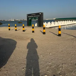 Mangrove Areas near Sitrah - Sitrah
