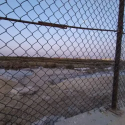 Mangrove Areas near Sitrah - Sitrah