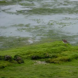 Sitrah Waterfront Promenade - Sitrah