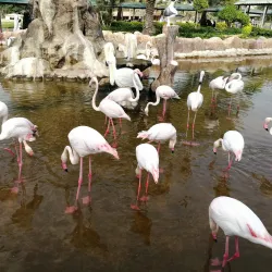 Al Areen Wildlife Park & Reserve - Tubli