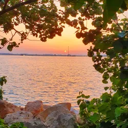 Amwaj Islands - Tubli