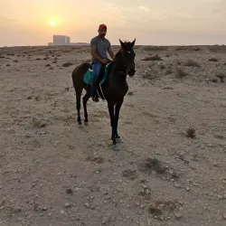 Saar Archaeological Site - Tubli