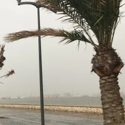 Tubli Bay Mangrove Reserve - Tubli